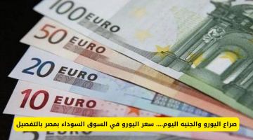 الآن.. سعر اليورو اليوم في السوق السوداء الأربعاء الموافق 16-10-2024 وفي البنوك المصرية