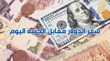 اعلي أسعار الدولار اليوم السوق السوداء والبنوك المصرية الاثنين 28 أكتوبر 2024