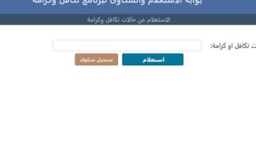 خطوات سهلة.. الاستعلام عن تكافل وكرامة 2024 باستخدام الرقم القومي وأهم الشروط والمستندات