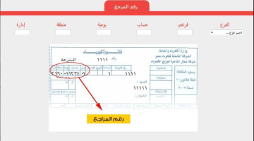 متاح بالخطوات.. طريقة الاستعلام عن فاتورة الكهرباء برقم العداد من خلال موقع وزارة الكهرباء