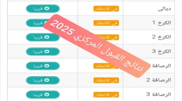 رابط نتائج القبول المركزي في جميع الجامعات العراقية 2024/ 2025 قبولات السادس اعدادي بالنسب المئوية mohesr.gov.iq