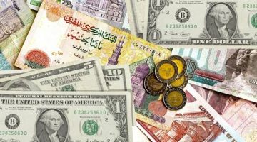 “العملة الخضراء تستقر” سعر الدولار اليوم مقابل الجنيه المصري في السوق السوداء الاربعاء 23 اكتوبر 2024 وفي البنوك المصرية