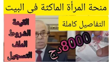 عاجل.. رابط التسجيل في منحة المرأة الماكثة في البيت 2024 في الجزائر والشروط اللازمة للاستفادة!