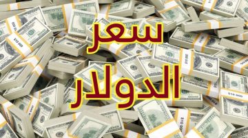 “الاخضر فى الطالع” سعر الدولار اليوم الخميس 17 اكتوبر 2024 فى السوق السوداء وجميع البنوك المصريه