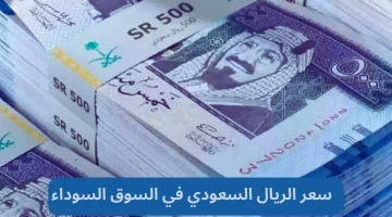 سعر 1 ريال سعودي بكام.. سعر الريال السعودي مقابل الجنيه المصري في السوق السوداء اليوم السبت 26 اكتوبر 2024 في البنوك والسوق السوداء