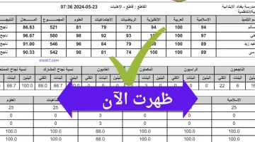 مبروك النجاح.. الرابط الرسمي لنتائج الثالث متوسط الدور الثالث 2024 عبر موقع نتائجنا